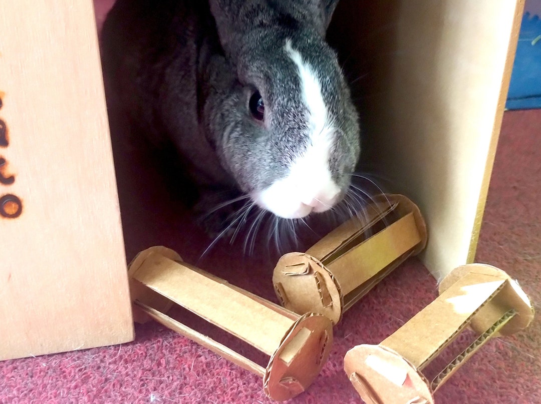Rabbit Cardboard Toy Set Bunny Chew Toy ROLLERS for Small Etsy