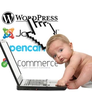 WordPress Website, online business, domain hosting templates