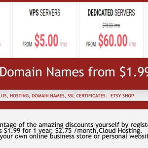 Nombres de dominio .NET al por mayor: historia, propósito y registro económico.