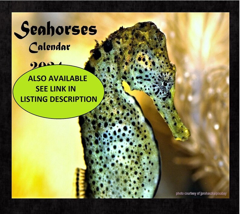 Seahorse Calendar 2024 Sea Horses Planner With Seahorse Trivia Etsy