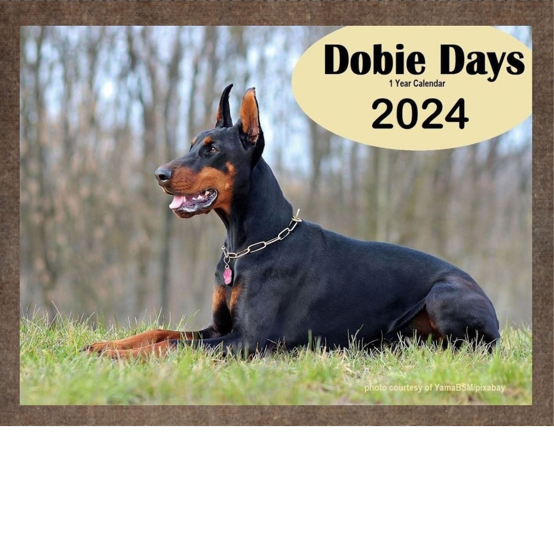 Doberman Calendar 2024 Doberman Pinscher Wall Calendar Doberman Planner