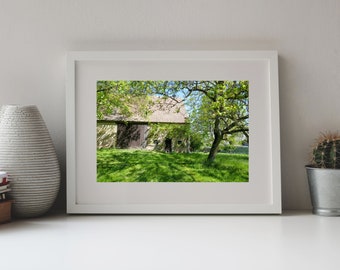 Photography Light Filteres through Trees, Old Barn, Medow and Trees, Noerdlinger Ries, Germany
