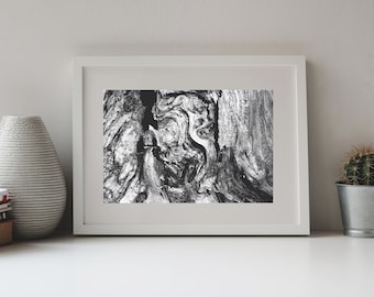 Photography Structure of Wood in Black and White, Old Tree