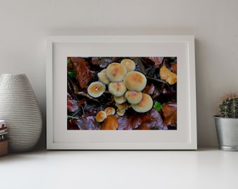 May include: A white framed wall art print featuring a cluster of light brown mushrooms growing among damp, dark brown fallen leaves. The print is displayed on a surface next to a textured gray vase and a small cactus in a metal pot.