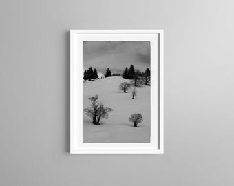 Photo Print Black White, Snowscape with  Trees, Alpine  Image