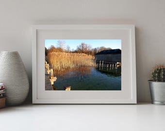 May include: A framed landscape photograph featuring a calm lake with golden reeds growing along the shore, a wooden pier extending into the water, and a dark building structure visible in the background under a clear blue sky.