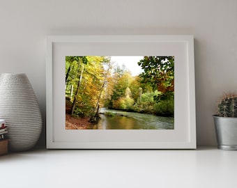 May include: A white framed landscape photograph of a river flowing through a forest with autumn foliage in shades of yellow, orange, and green. To the left is a textured gray vase and to the right is a green cactus in a silver metal pot.
