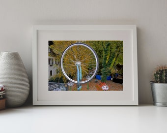 May include: A framed photograph featuring a bicycle wheel and fork, mounted vertically. The wheel is silver with black tire. The background includes trees with yellow leaves, a building, and text. The frame is white.