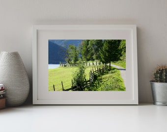 Photography of a Sunny Hiking Trail, Achensee, Austria