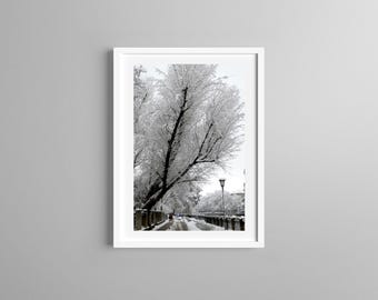 Photo Print Black White, Tree Covered with Snow, Munich