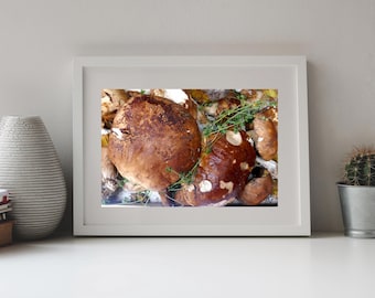 Photography of Fresh Porcini Mushrooms Italy, Kitchenart