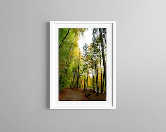 May include: A framed vertical wall art print featuring a forest path during autumn. The scene displays tall trees with green and yellow foliage, a dirt trail covered in fallen brown leaves, and a bright sky visible through the dense canopy.