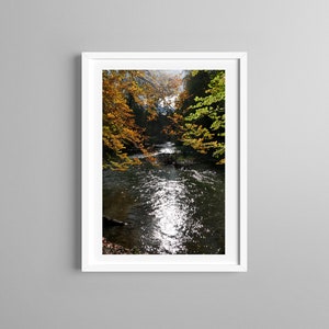 May include: A framed wall art print featuring a photograph of a flowing river surrounded by trees with autumn foliage in shades of yellow and orange. The sunlight reflects brightly off the water surface, creating a high-contrast scene.