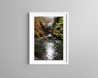 May include: A framed wall art print featuring a photograph of a flowing river surrounded by trees with autumn foliage in shades of yellow and orange. The sunlight reflects brightly off the water surface, creating a high-contrast scene.