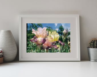 Photography, Iris Plant, Double Exposure Photo, Analogue Photo,