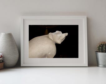 Art Photo, Black and White Photo, Fragment of Sculpture of Crouching Aphrodite