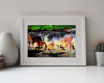 Photography, Cows on Fire, Digital Work, Cattle, Experimental