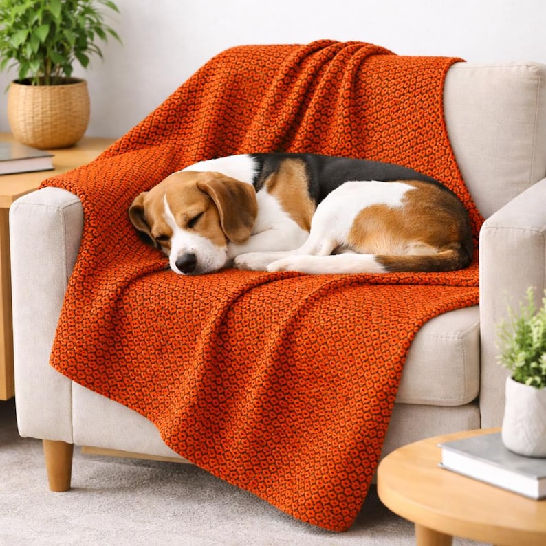 May include: A sleeping Beagle dog rests on an orange textured throw blanket draped over a beige armchair. The blanket's pattern is a repeating geometric design. A small side table and potted plants are in the background.