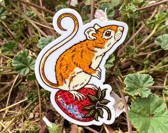 Strawberry Mouse Sticker - Glitter Rainbow Sticker - 2.3x3 Vinyl Sparkle Sticker - Nature Water Bottle Sticker - Cute Animal Laptop Sticker