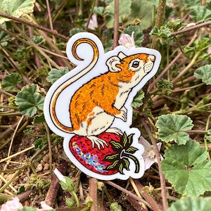 Sticker souris fraise - Sticker arc-en-ciel scintillant - Sticker vinyle scintillant 2,3 x 3 - Sticker bouteille d'eau nature - Sticker animal mignon pour ordinateur portable