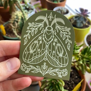 Moth Magnet 3x2 Magnet Refrigerator Magnet Botanical Floral Butterfly image 8