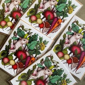 Cartão de felicitações - Cartão ilustrado de primavera - Cartão de felicitações A2 - Cartão de felicitações de colheita - Cartão de jardim - Pacote de 5 cartões