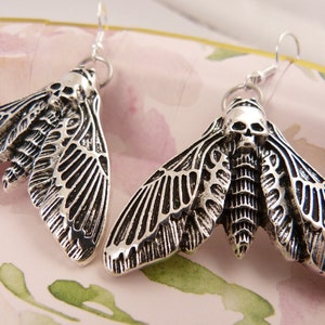 May include: A pair of silver earrings featuring a detailed moth design. The moths have a skull-like head and intricate wing patterns.