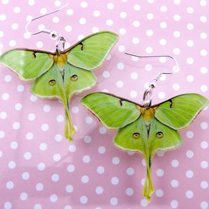 Luna Moth Earrings, Large Acrylic Charms, Hypoallergenic Hooks, Beautiful Light Green Colour, Very Lightweight, Naturalist or Goth Gift