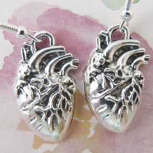 Anatomical Heart Earrings, Hypoallergenic, Arteries Included, Real Heart, Unisex Organ Gift, Halloween, Medical, Cardiologist Gift