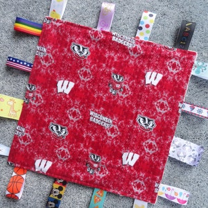 Wisconsin Badgers Sensory Lovey/Wisconsin Baby/I Spy Lovey/University of Wisconsin/Wisconsin Badgers Baby Gift/Wisconsin Badgers Baby Shower