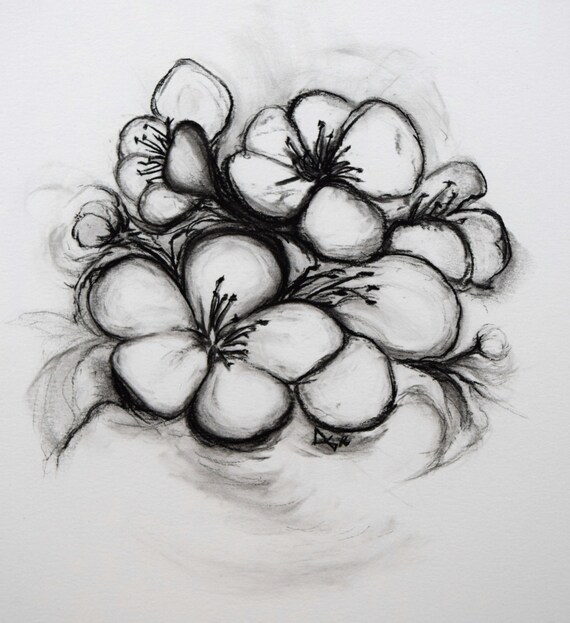 Cherry Blossom Ix Original Drawing Etsy