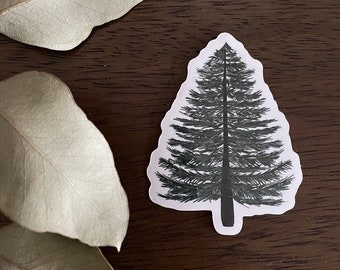 Pine Tree Sticker - Clear Vinyl Sticker - Weatherproof Sticker