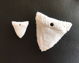 Shark tooth