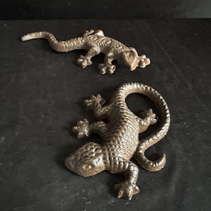 Amphibians wall art , gecko lizard , cast iron , Tabletop or wall mount