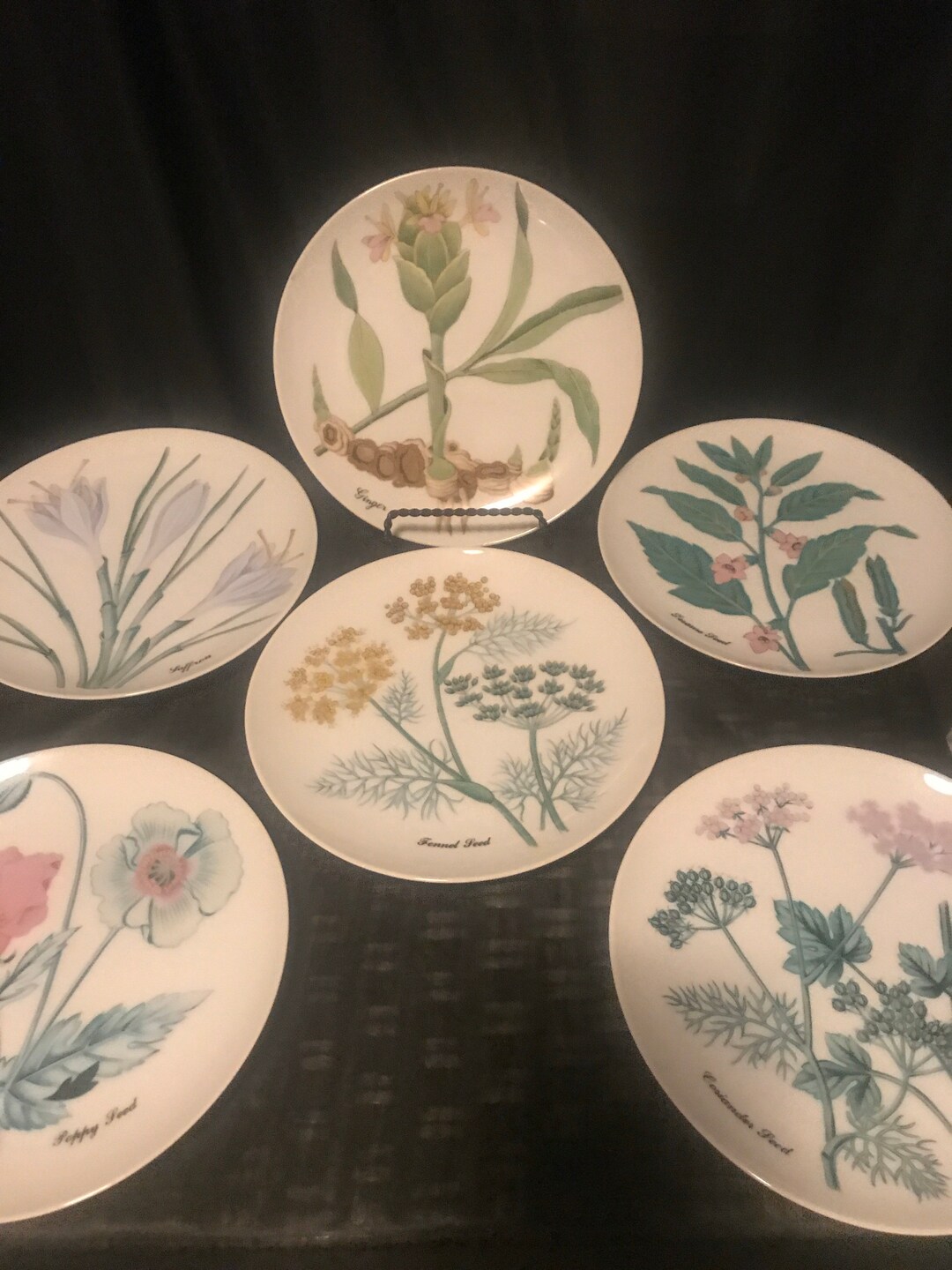 Designer Dinner Plates (6) (botanical) Tableware -horchow Collection ...