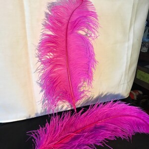 Ostrich Feather Bulk Pink 