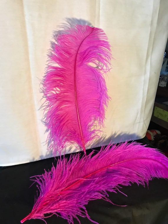 OSTRICH Feathers Plumes Bulk Lot 23 Centerpiece customs event Parties Headress centerpiece Mardi Grais burlesque DYI Art craft 24 Etsy