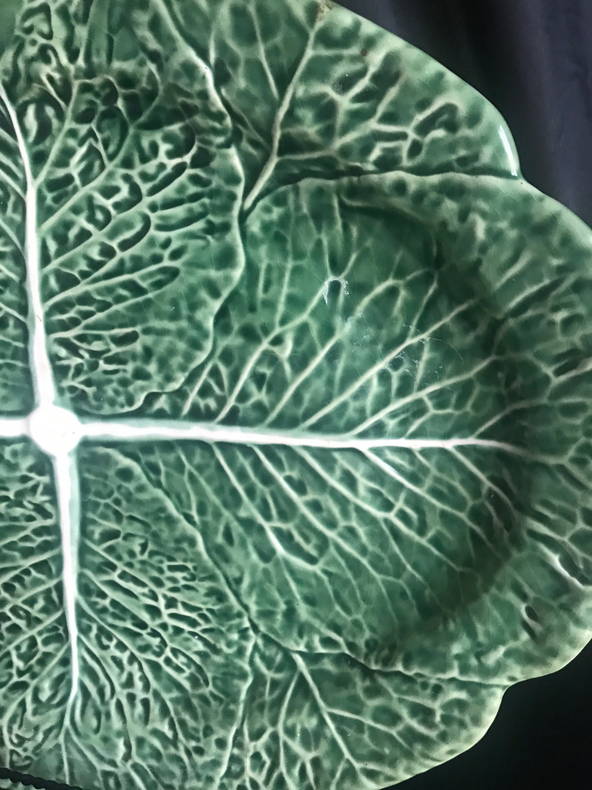 Cabbage Tableware Cabbage Ware Platter,tableware Server Large Majolica Stoneware ...