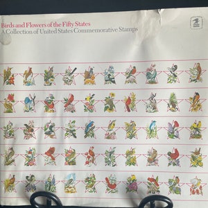 Libro de aves y flores de los 50 estados de EE. UU., sellos postales, colección conmemorativa, Servicio Postal de EE. UU., tapa dura, 1982