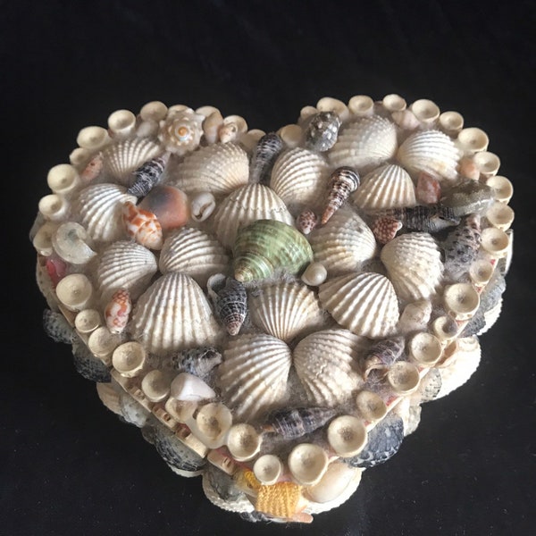 Seashell Jewelry Box - Etsy