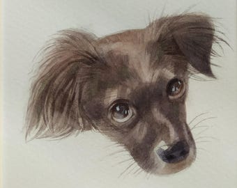 watercolor pet portrait / custom dog painting / cat lover gift / personalized dog memorial / hand painted pet art / pet loss gift