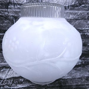 May include: A spherical glass light fixture shade with a frosted white finish. The surface features a raised relief pattern of leaves and berries. The top opening has a clear, vertically ribbed glass collar designed for mounting to a light fixture.