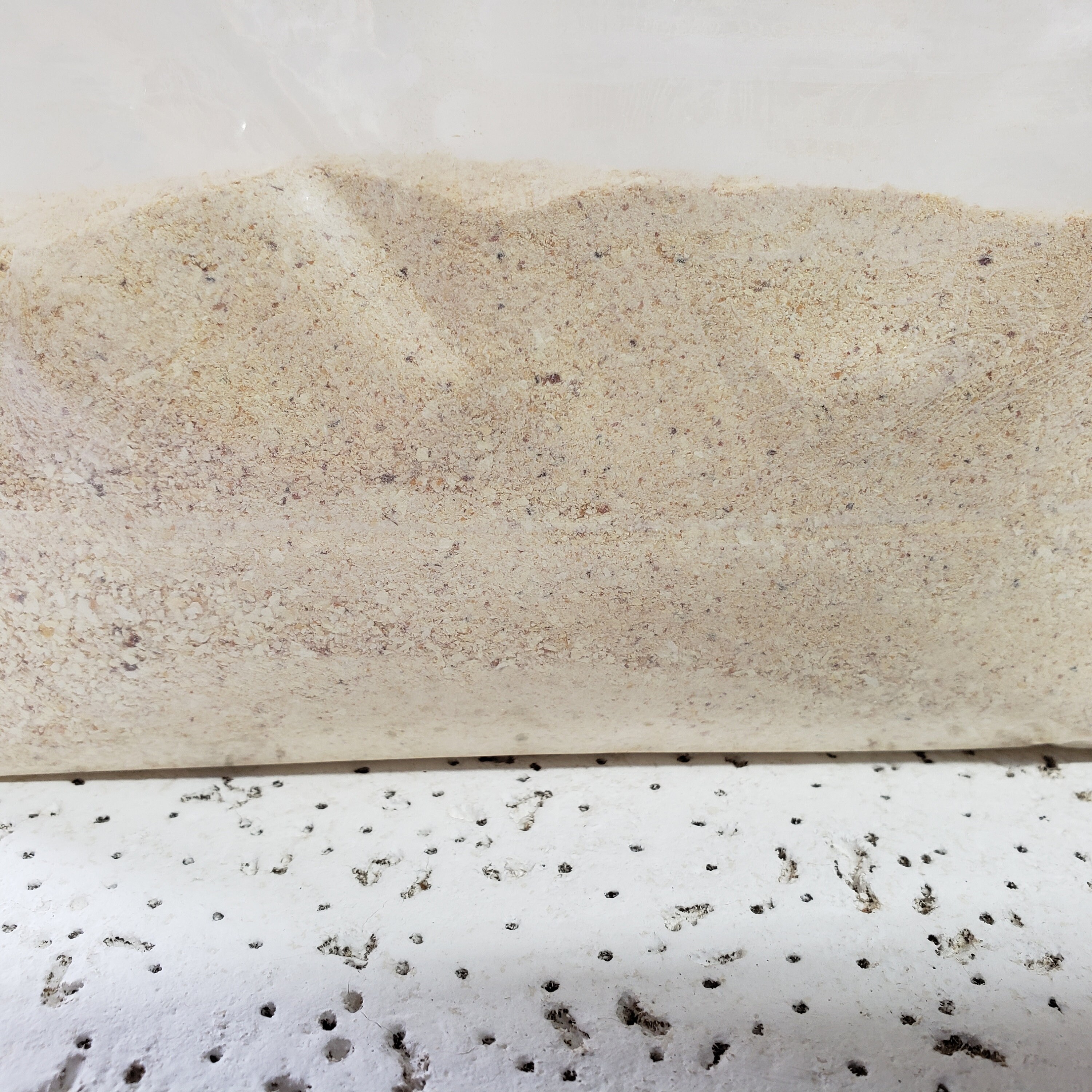 Ground Egg Shells Calcium Garden Fertilizer Red Wigglers Etsy