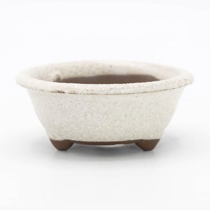 Op de afbeelding: Een kleine, witte keramische bonsai pot met een getextureerd oppervlak en drie bruine voetjes.