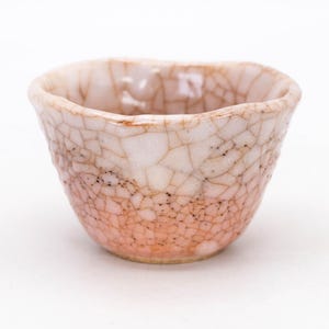 Japanese Tea cup 120ml Shino ware Teacup Yunomi