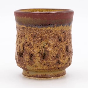 Japanese Tea cup 130ml Mushikui Nanban ware Teacup Yunomi