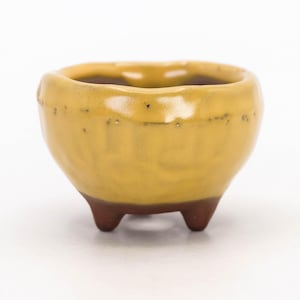 May include: A small, yellow ceramic bowl with a rounded shape and three brown feet. The bowl has a textured surface and a dark interior, suitable for small plants or decorative items.