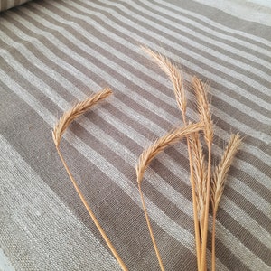 May include: A roll of fabric featuring a repeating pattern of vertical taupe and off-white stripes. Resting on top of the textured textile are several dried stalks of golden wheat, each with a slender stem and a cluster of small, pointed grains.
