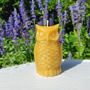 Elephant Candle -100% Beeswax from Florida