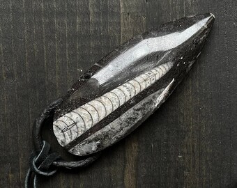 XL Polished Orthoceras Fossil Pendant - SIGIL {BLVCK}